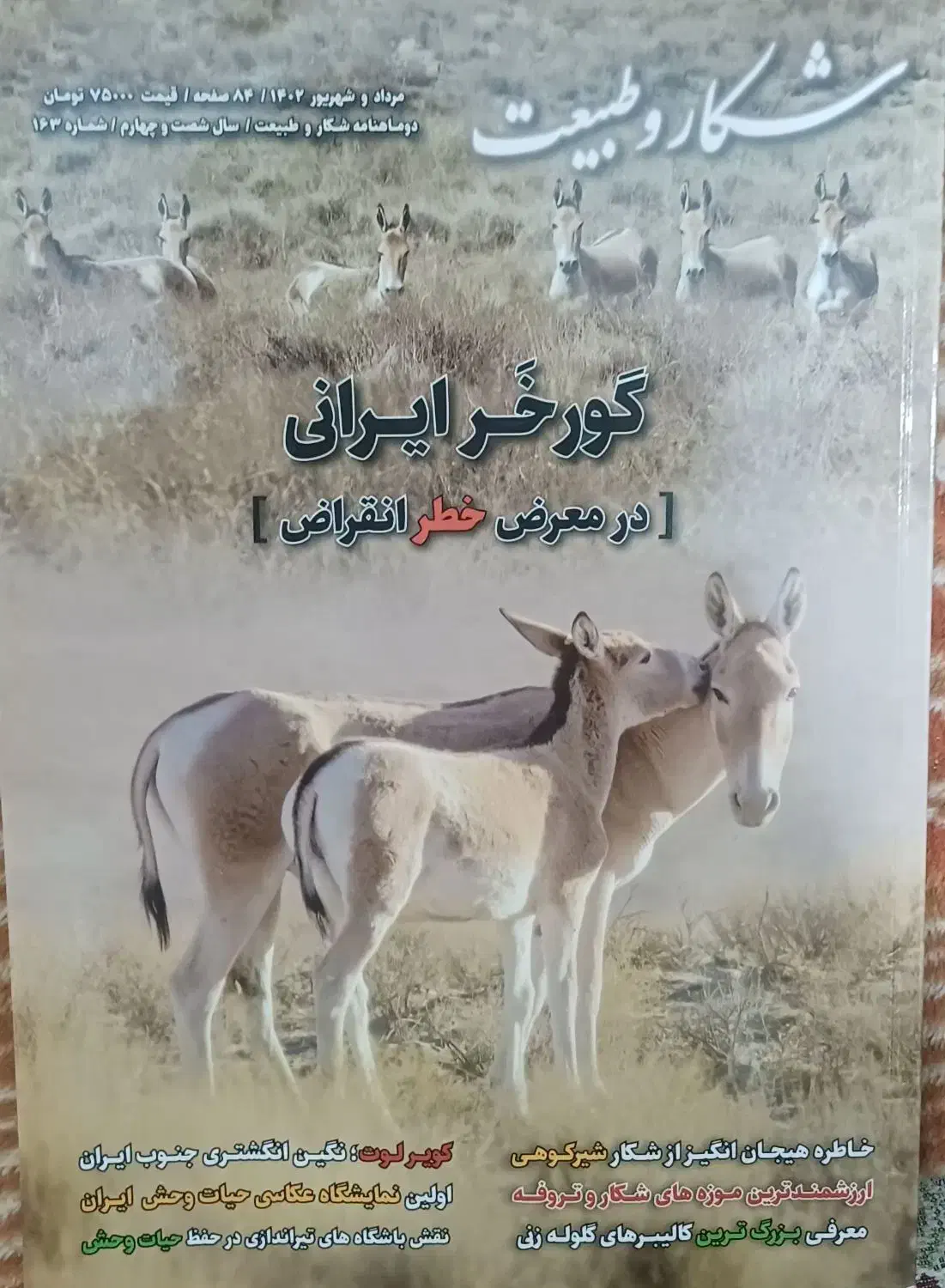 فروش مجله شکاروطبیعت|مجلات|کرج, اسدآباد|دیوار