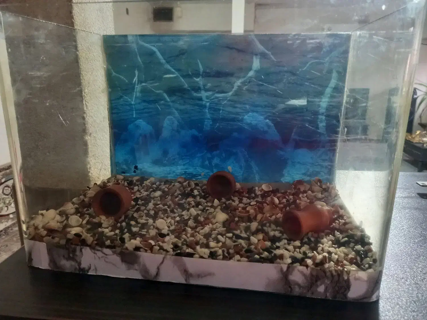 اکواریوم|ماهی|رباط‌کریم, رباط‌کریم|دیوار