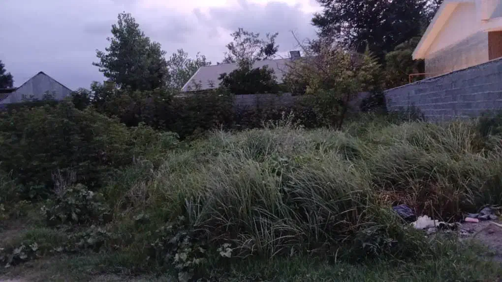 فروش زمین مسکونی ویلایی|فروش زمین و ملک کلنگی|رشت, منظریه|دیوار