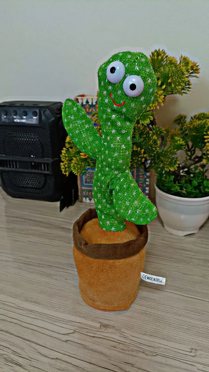 اسباب بازی کاکتوس|اسباببازی|تبریز, |دیوار