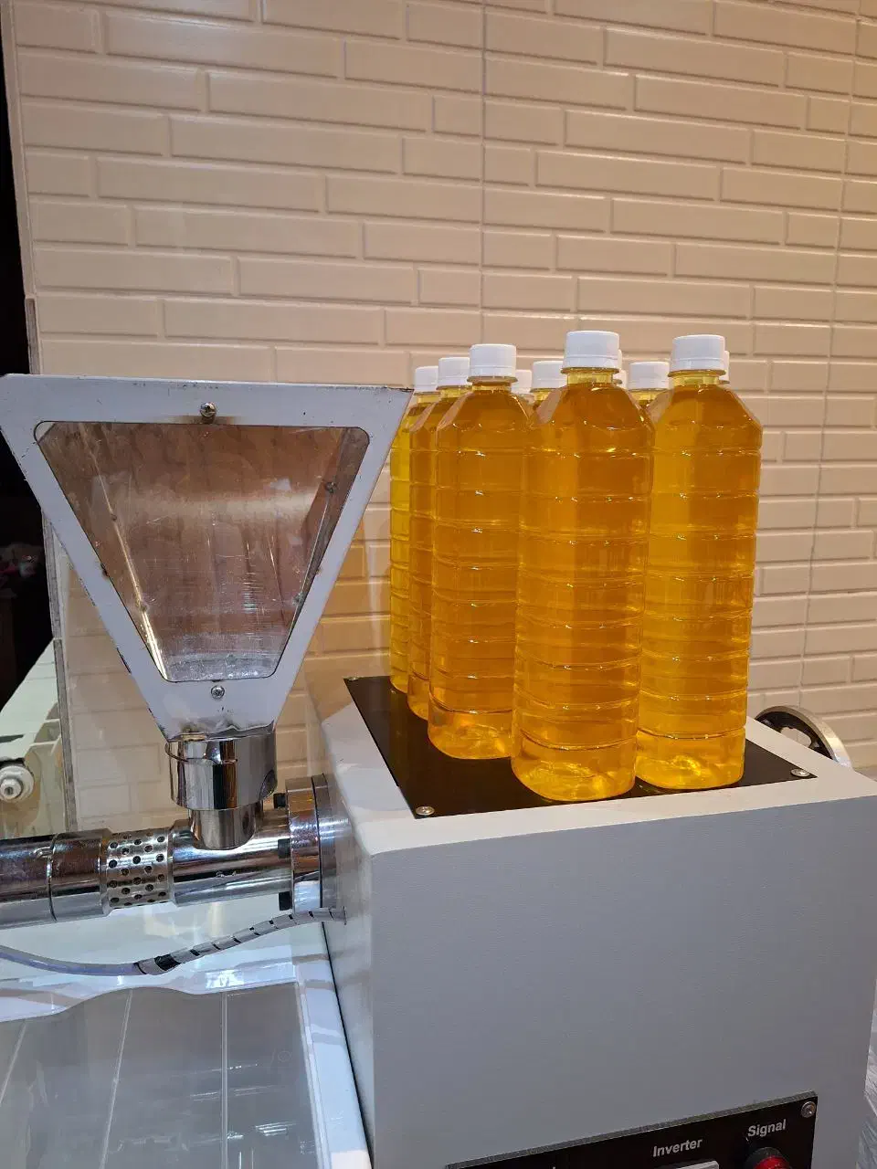 کار در منزل داوطلبانه|فعالیت داوطلبانه|رویان, |دیوار