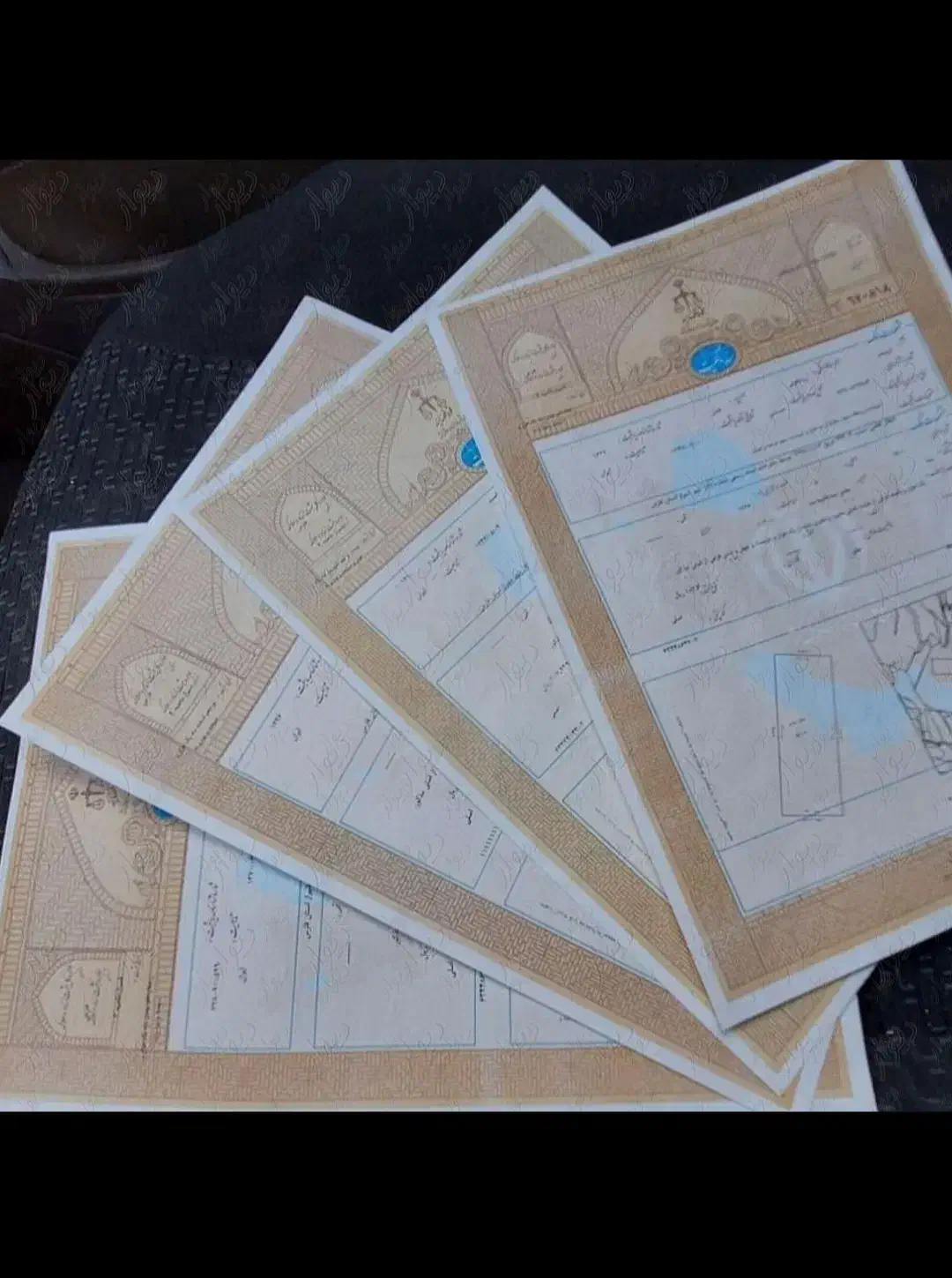 زمین صدرا..پشت‌گویم|فروش زمین و ملک کلنگی|شیراز, گویم|دیوار