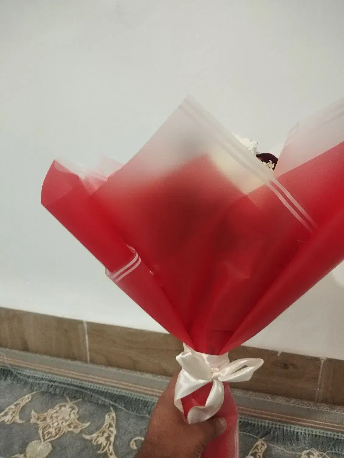 گل .|گل و گیاه طبیعی|زابل, |دیوار