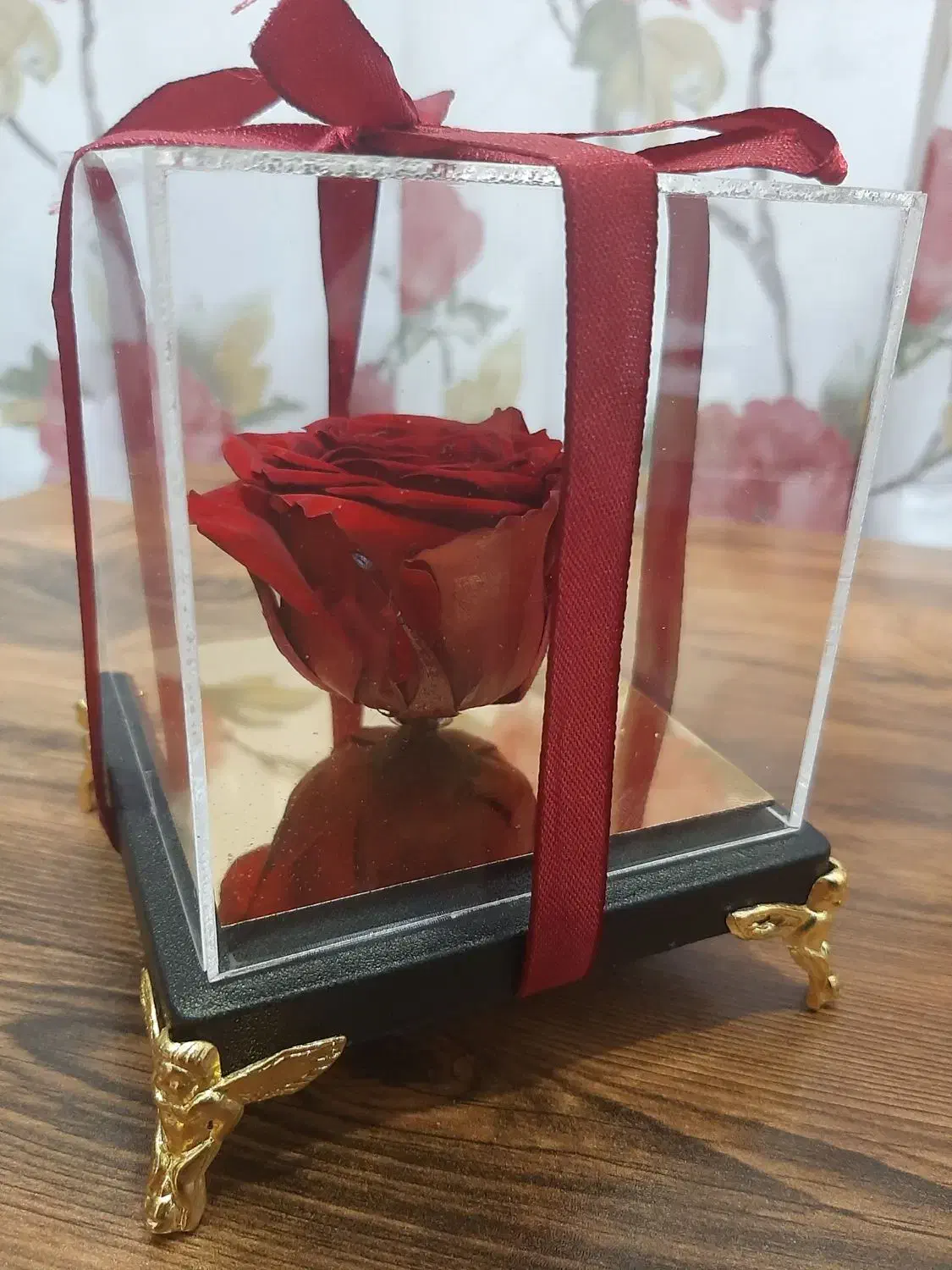 رز جاودان قرمز|گل و گیاه طبیعی|تهران, افسریه جنوبی|دیوار