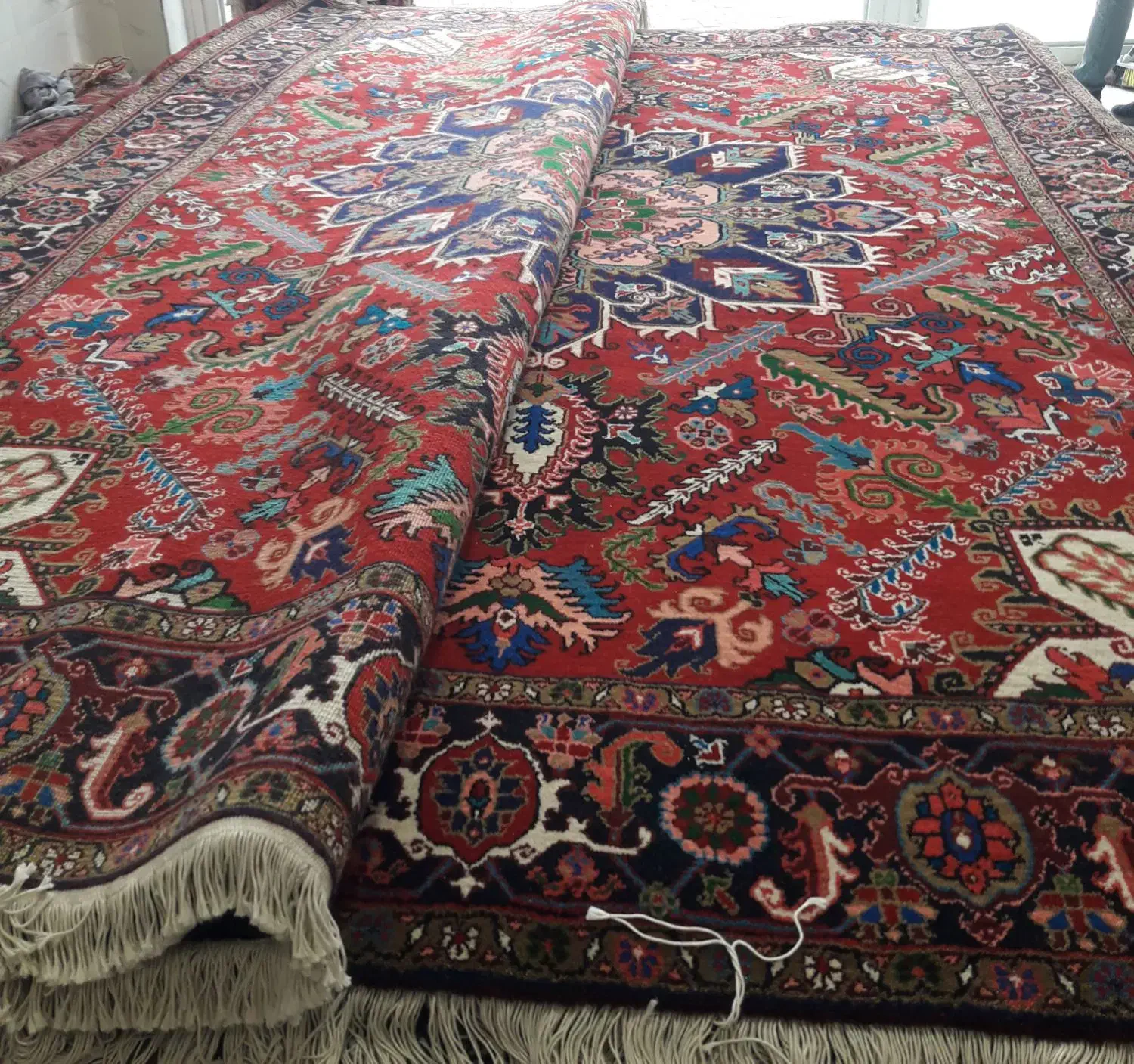 فرش هریس. گوراوان|فرش|هریس, |دیوار