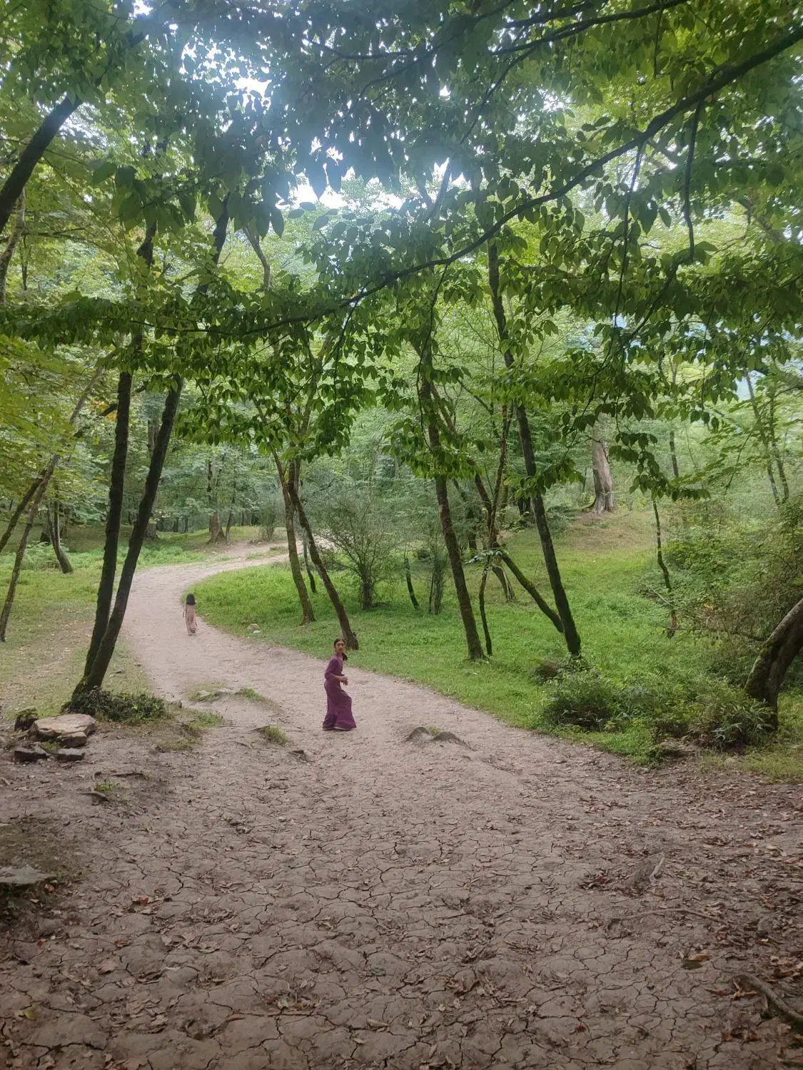 زمین مسکونی بیست دستگاه|فروش زمین و ملک کلنگی|آق قلا, |دیوار