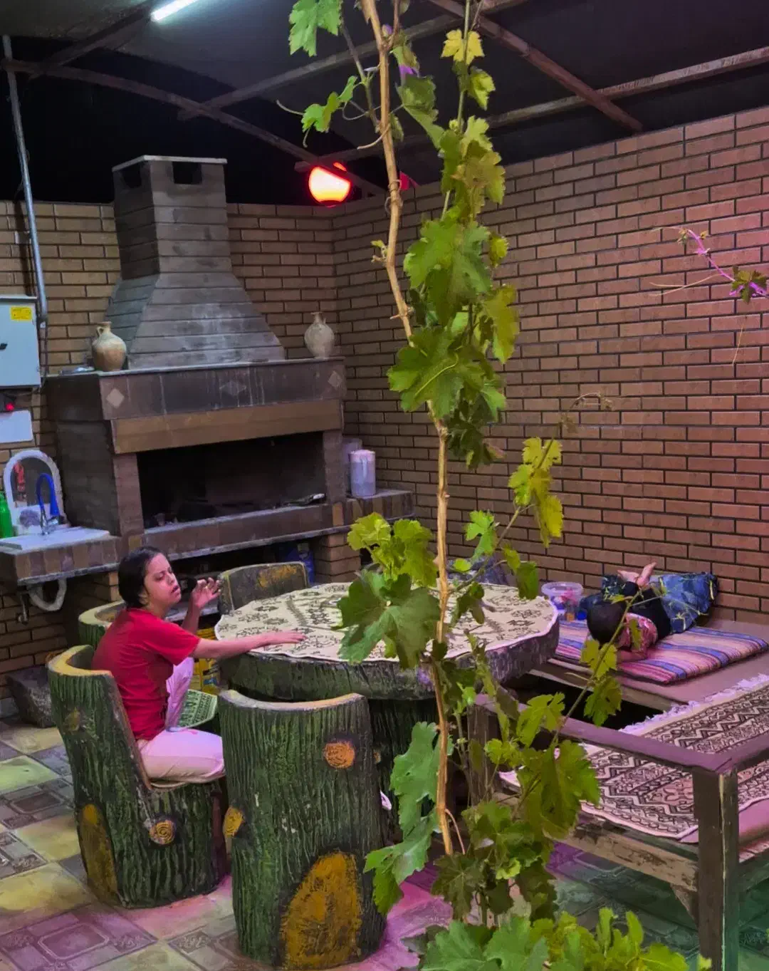 میز صندلی باغی|میز و صندلی غذاخوری|پیشخور, |دیوار