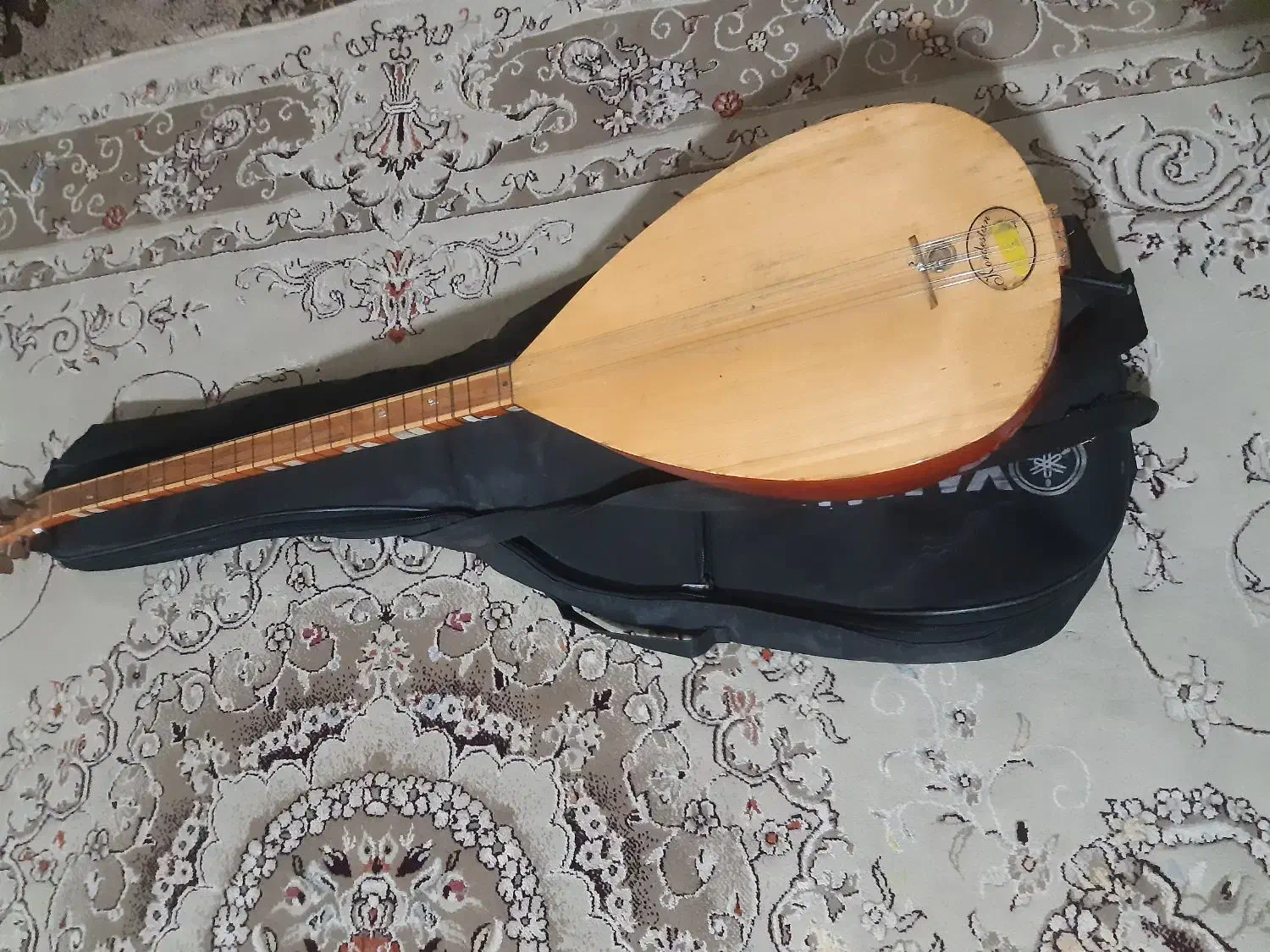 ساز باغلاما درحدنو|سازهای سنتی|هشتگرد, شهرک پارسیان|دیوار