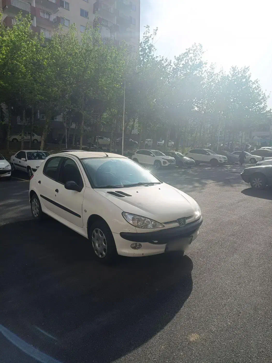 پژو ۲۰۶|خودرو سواری و وانت|تهران, اقدسیه|دیوار