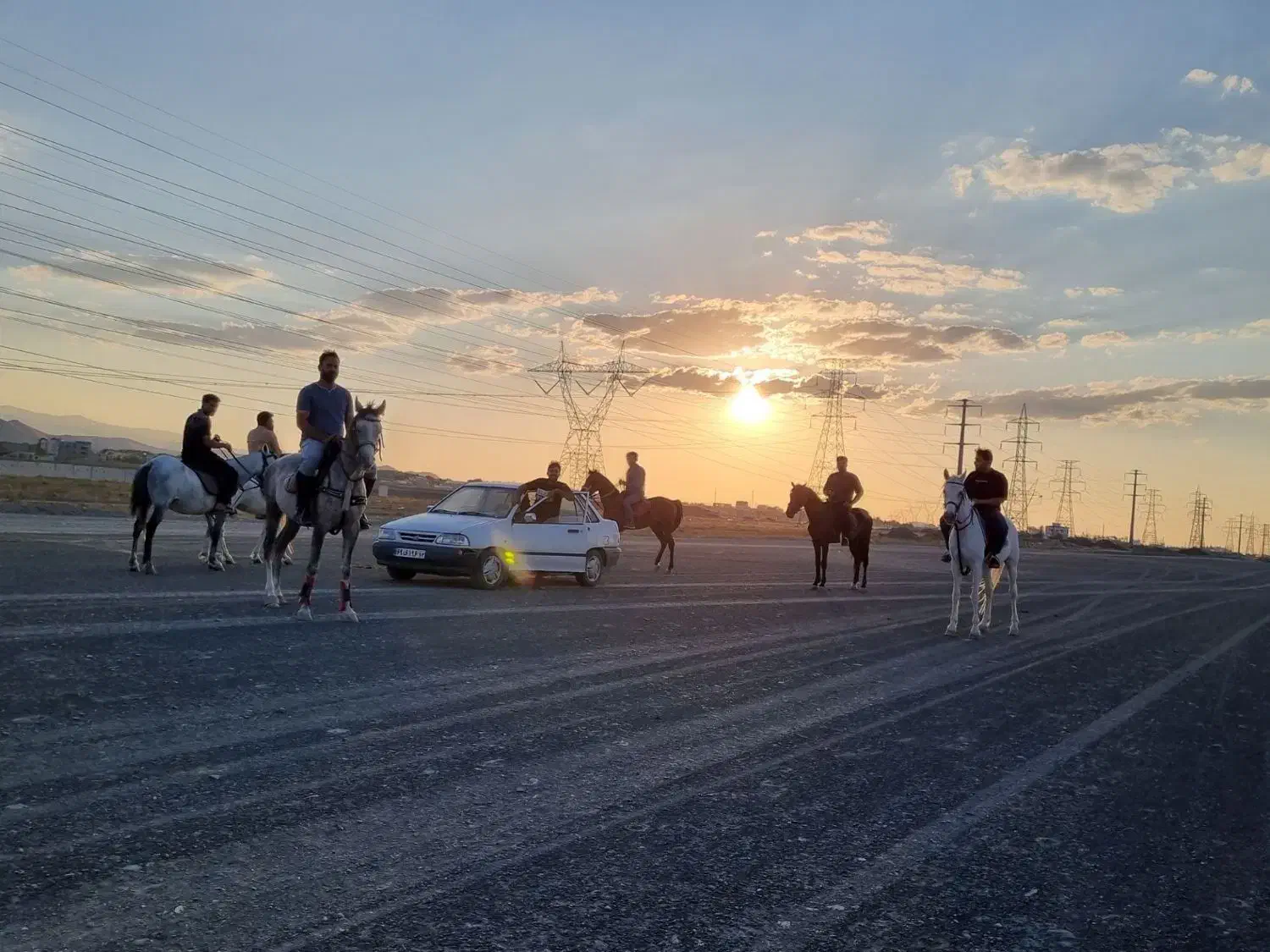 آموزش سوارکاری، گشت و طبیعت گردی با اسب|اسب و تجهیزات اسبسواری|مشهد, شهرک صنعتی توس|دیوار