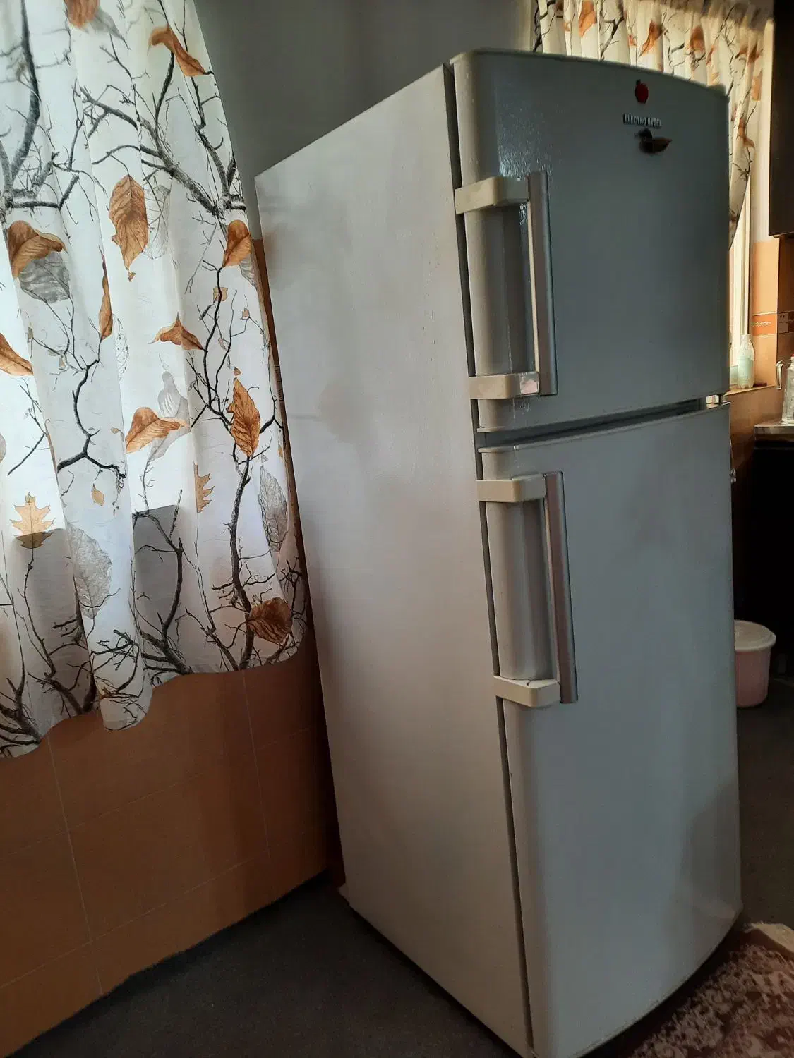 یخچال  و  فریزر|یخچال و فریزر|رشت, گلباغ نماز|دیوار