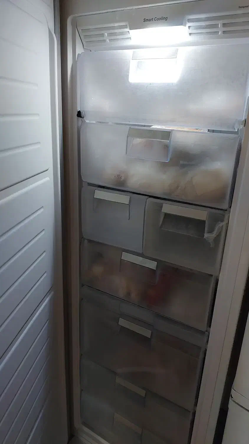 فریزر تک ایکسویژن|یخچال و فریزر|رامسر, |دیوار