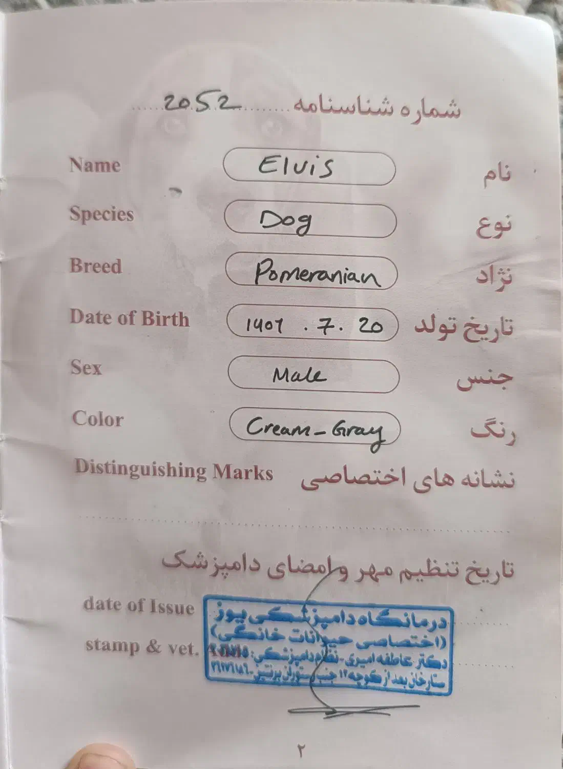 فروش سگ|سگ|سیدان, |دیوار