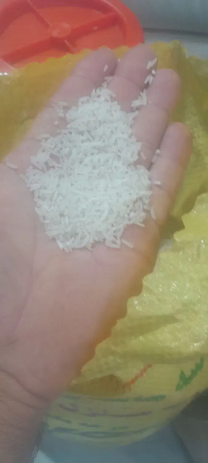 برنج خانگی مستقیم از کشاورز به قیمت عمده|خوردنی و آشامیدنی|الوند, |دیوار