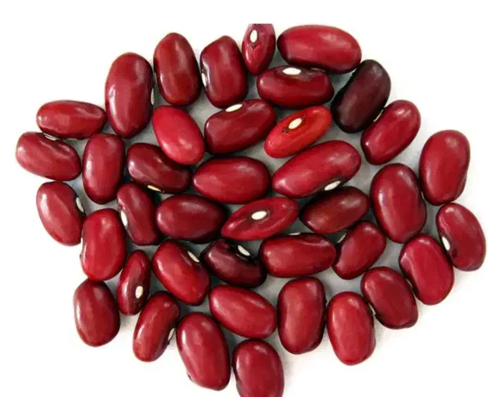 فروش ۵۰۰کیلو لوبیا قرمز|خوردنی و آشامیدنی|دهگلان, |دیوار