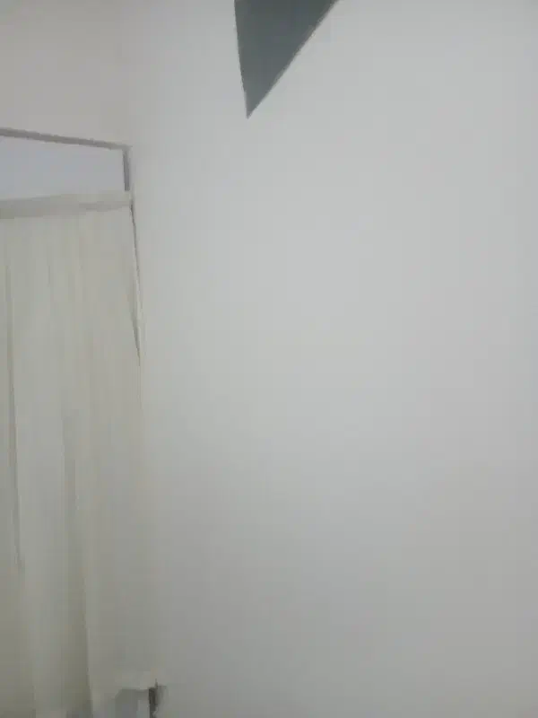 پرده حریر|پرده، رانر، رومیزی|نورآباد, |دیوار