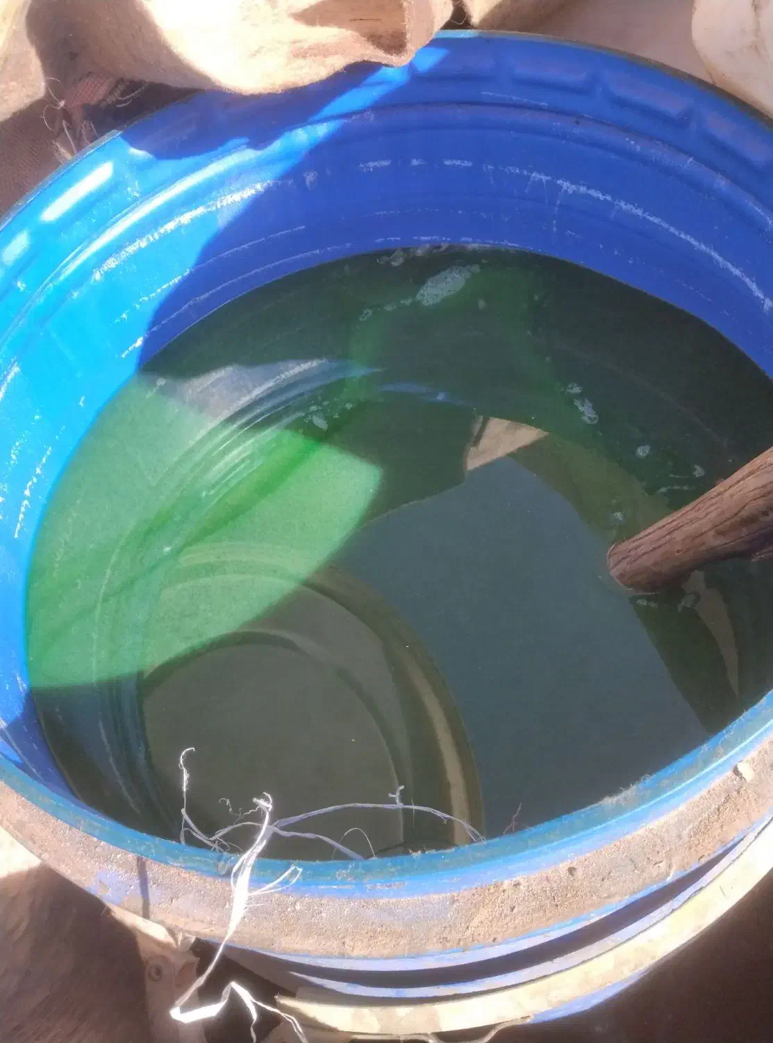 مایع شوینده برای مُشَمّا ، پلاستیک و مواد ضایعاتی|مواد شوینده و دستمال کاغذی|رفسنجان, |دیوار