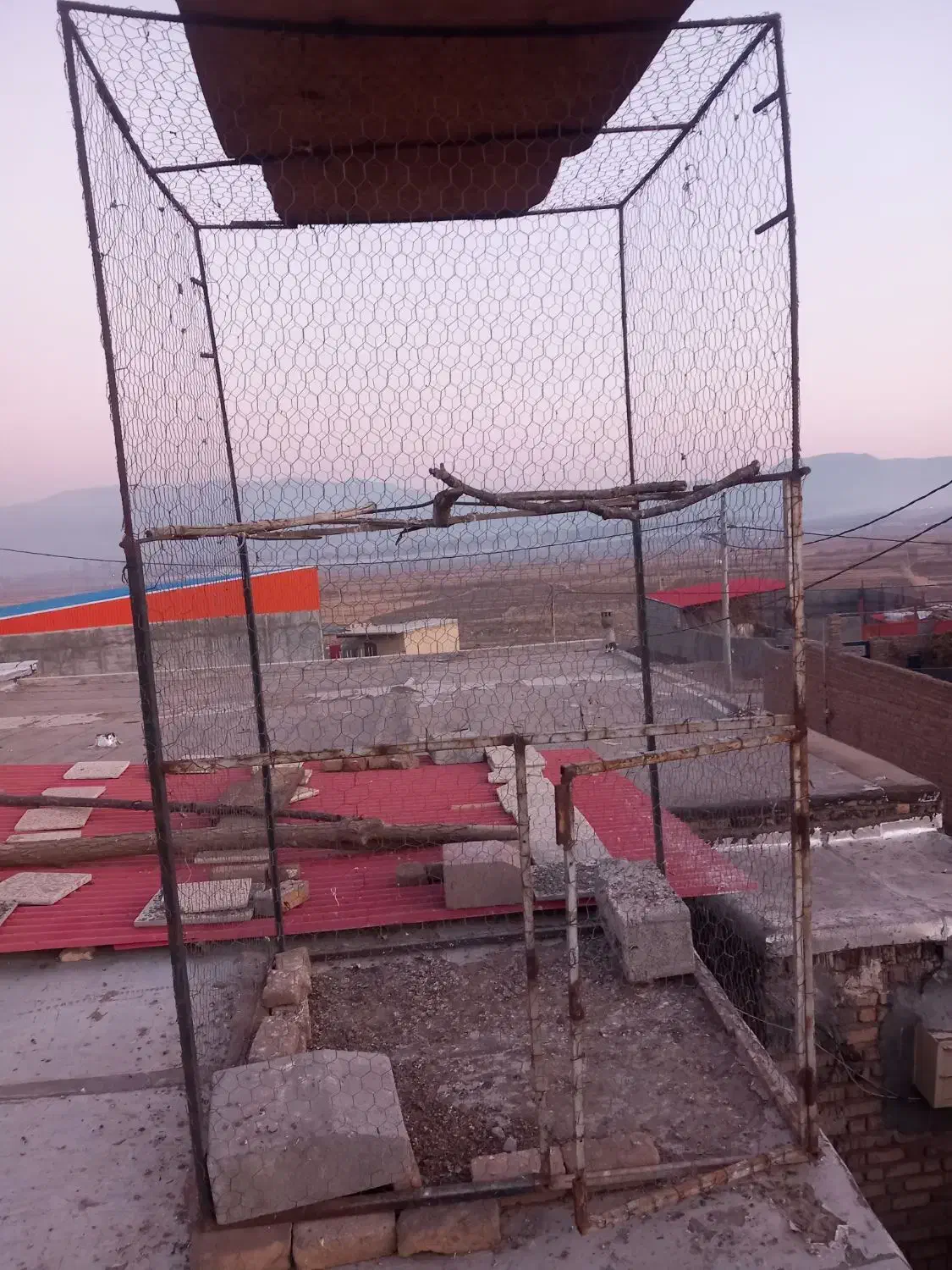 قفس پرنده|لوازم جانبی حیوانات|میانه, |دیوار