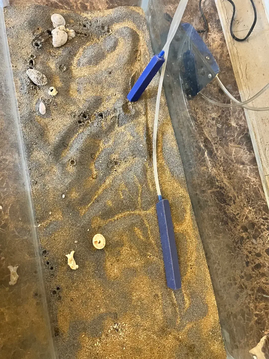 آکواریوم بزرگ|ماهی|چابهار, |دیوار