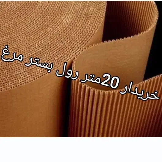 رول کاغذی بستر مرغ میخوام|فعالیت داوطلبانه|بابکان, |دیوار