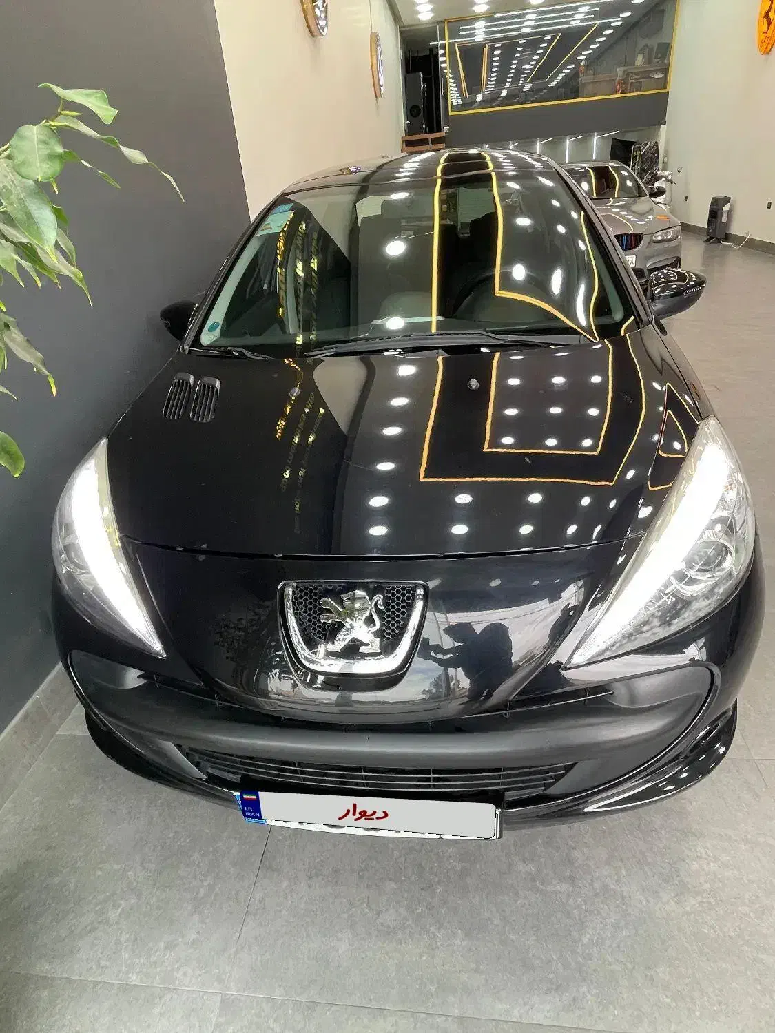 207پانا مدل1401|خودرو سواری و وانت|تهران, افسریه شمالی|دیوار