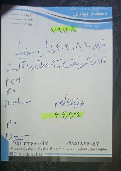 گربه پرشین و dsh نر|گربه|مشهد, سراب|دیوار