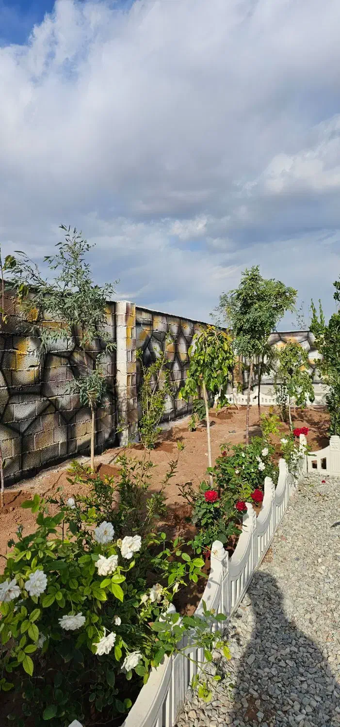 باغچه سند دار در منطقه رو به رشد|فروش زمین و ملک کلنگی|تهران, شهرک ولیعصر جنوبی|دیوار