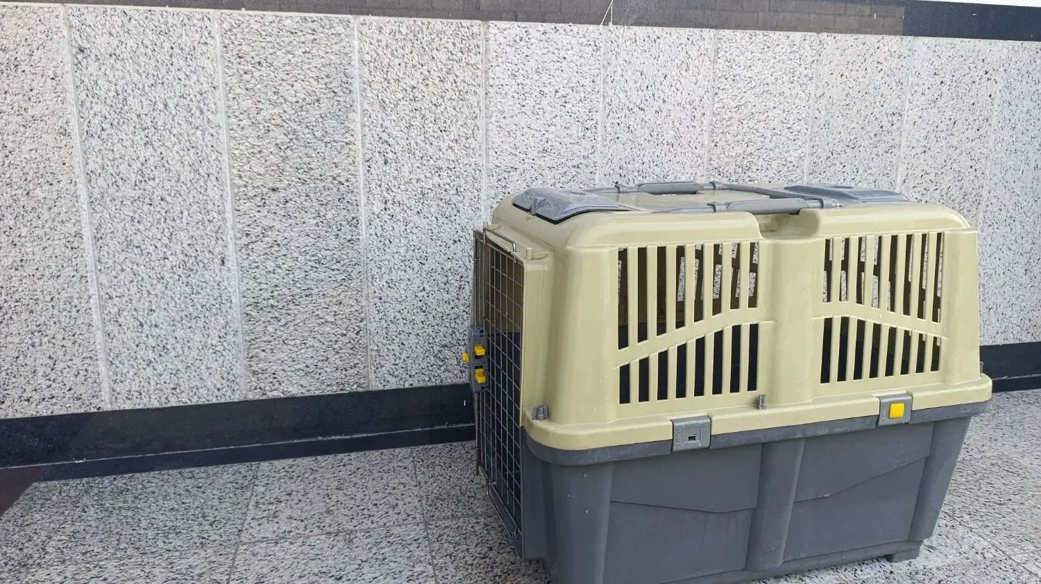 باکس پت استاندارد|لوازم جانبی حیوانات|ساری, |دیوار