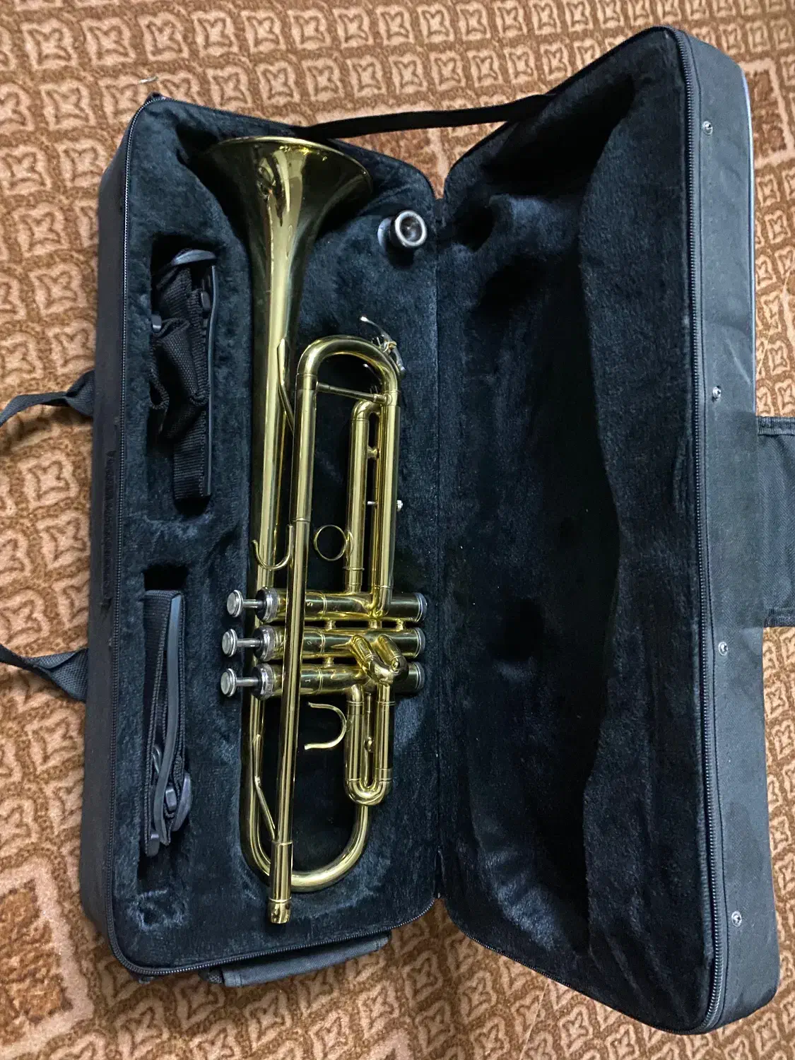 ساز ترومپت|سازهای بادی|کاشان, باغ گیاهشناسی کاشان|دیوار