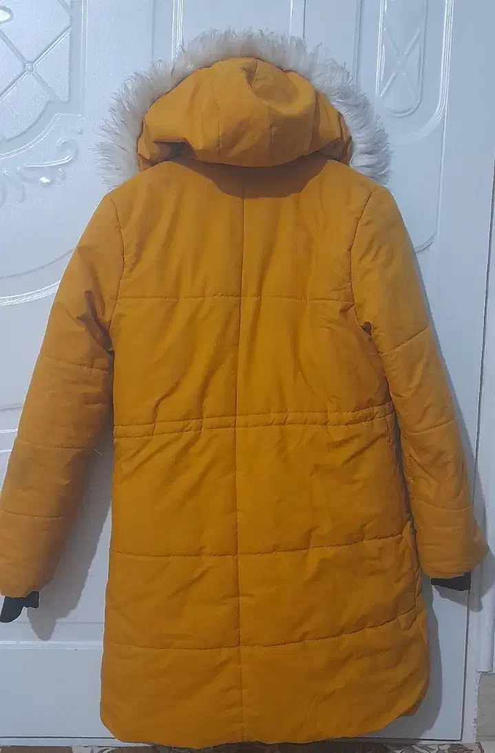 کاپشن دخترانه|لباس|شاهین دژ, |دیوار