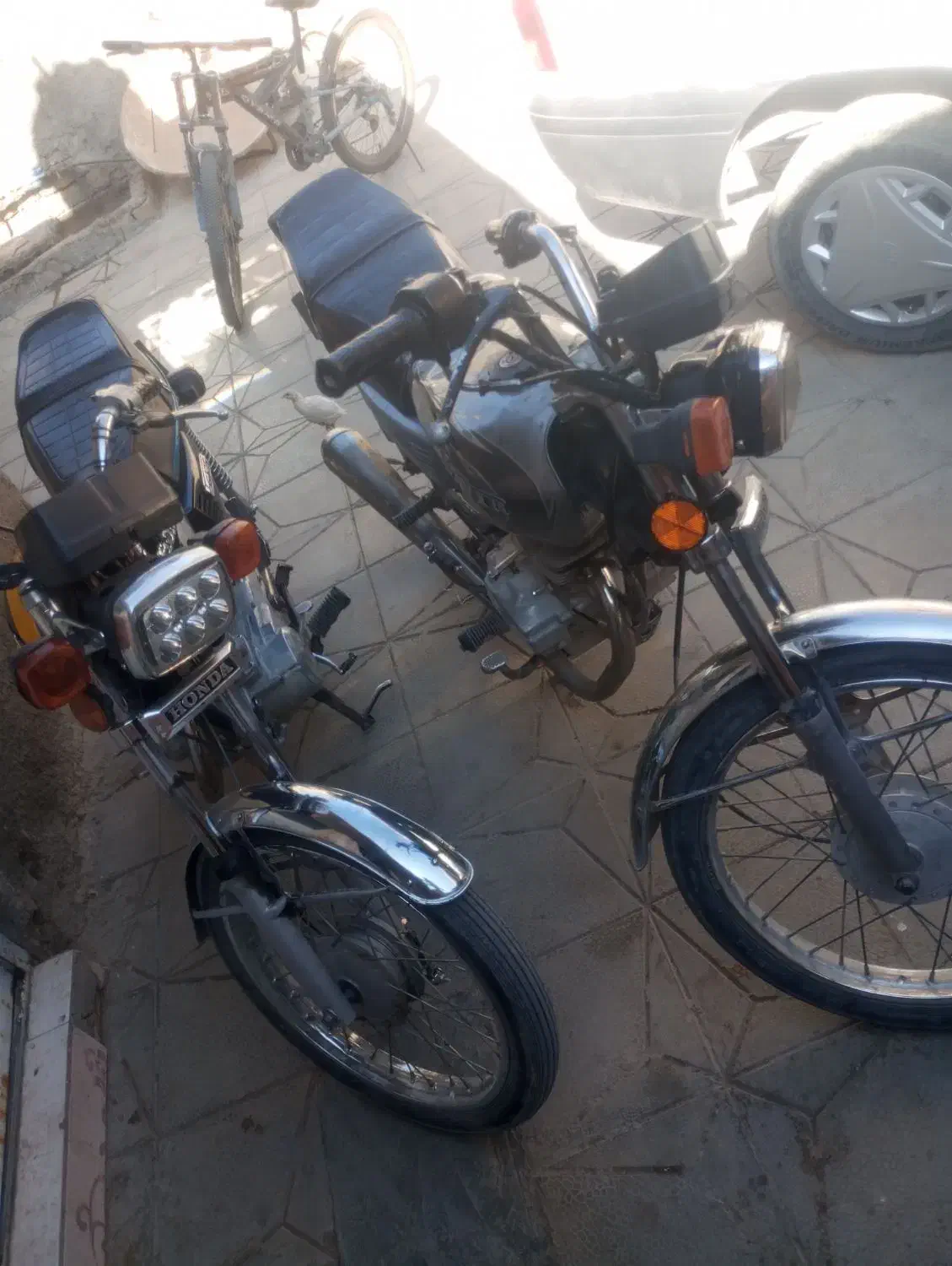 موتور سیکلت شهباز|موتورسیکلت|داراب, |دیوار