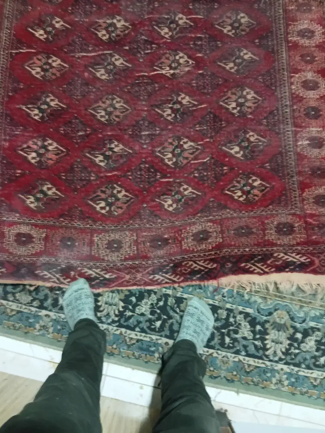 فرش دستبافت ۶متری|فرش|گرگان, |دیوار