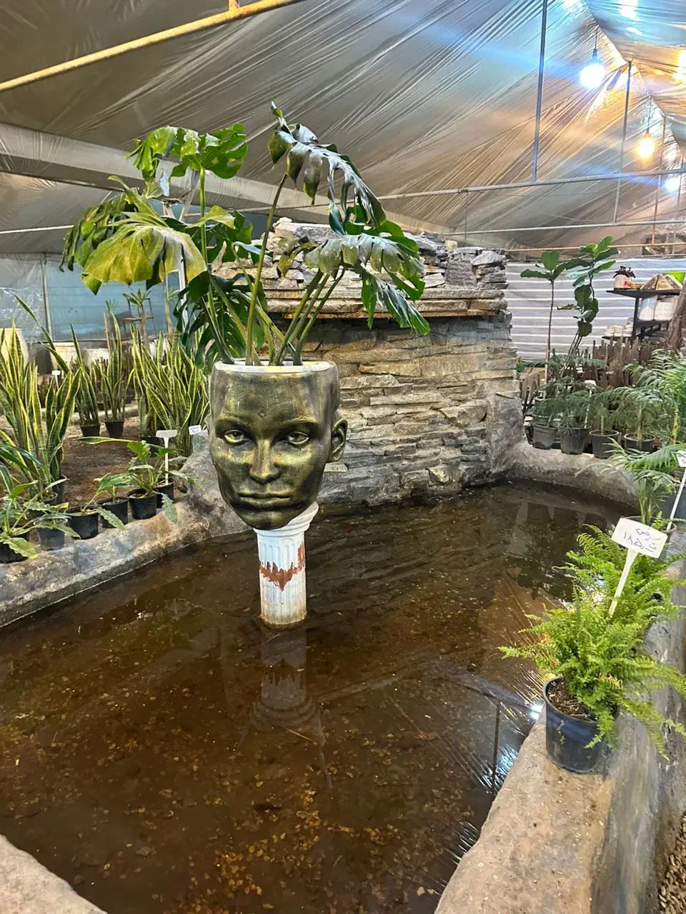 کارگر ساده گل فروشی ۱۵ تا ۲۰ سال با جای خواب|استخدام خدمات فروشگاه و رستوران|اصفهان, ارداجی|دیوار