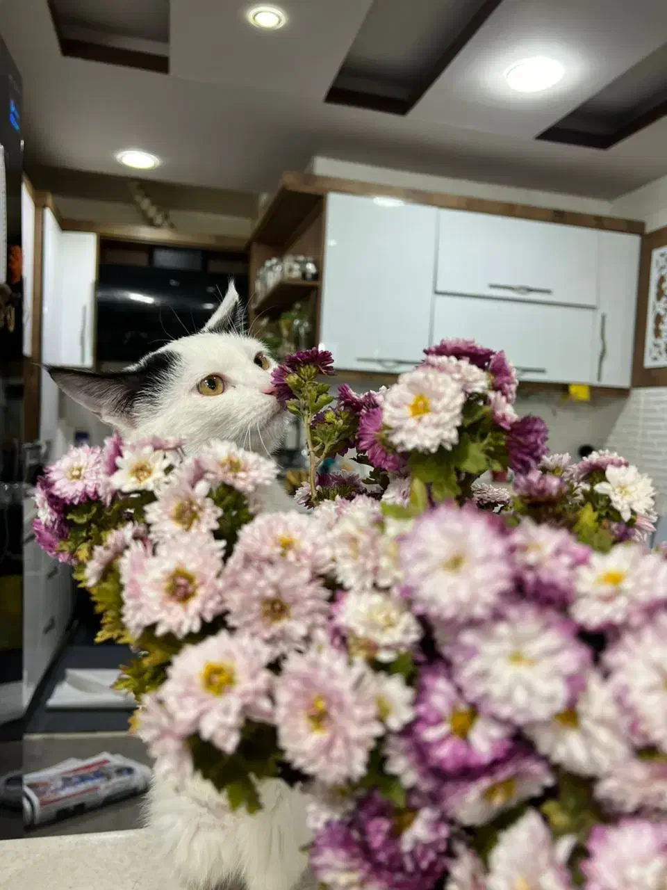 پرستاری از پدر|استخدام سرایداری و نظافت|جهرم, |دیوار