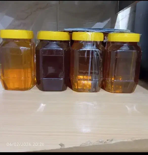 عسل|خوردنی و آشامیدنی|مهران (ایلام), |دیوار