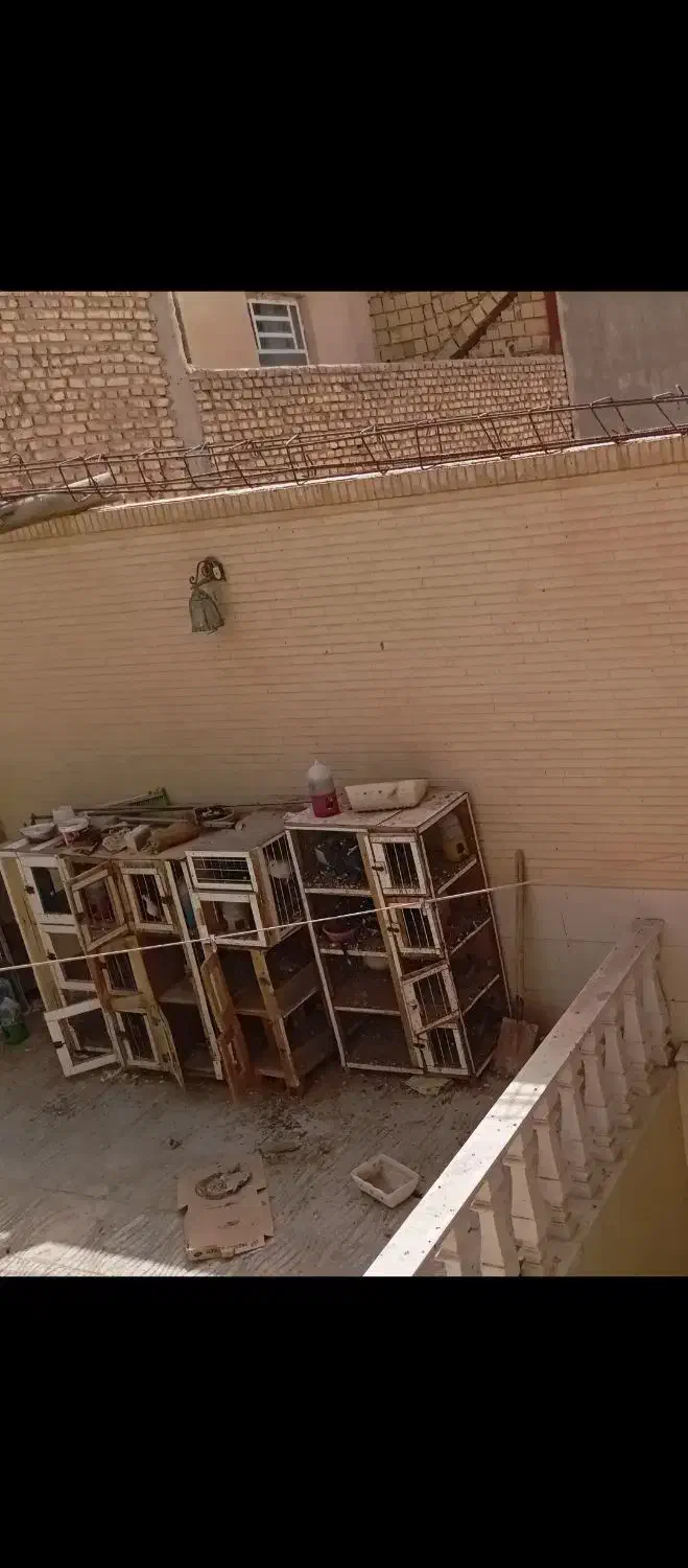 قفس|لوازم جانبی حیوانات|دهج, |دیوار