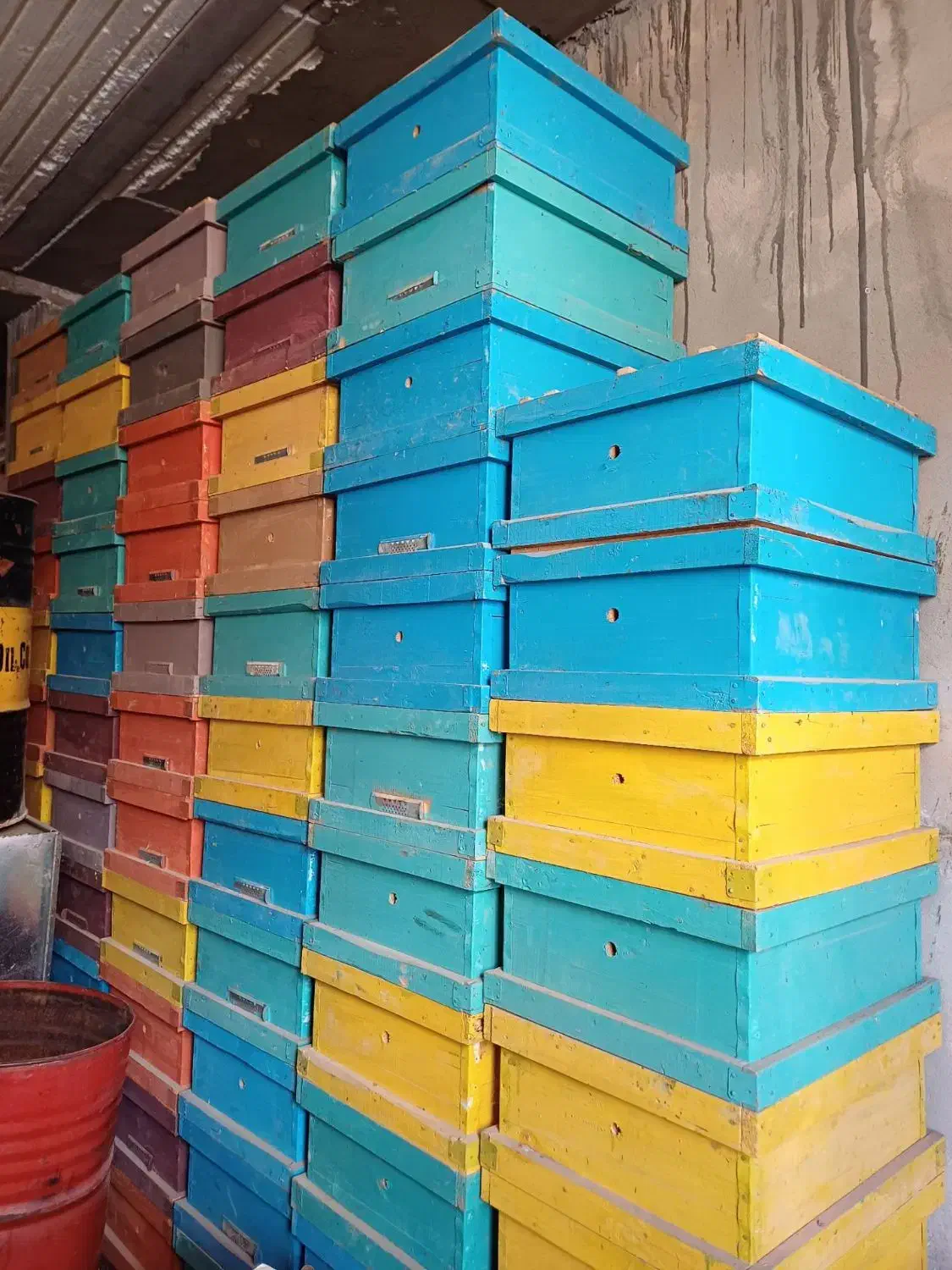 طبق زنبور نو و کارکرده. زنبور|لوازم جانبی حیوانات|صحنه, |دیوار