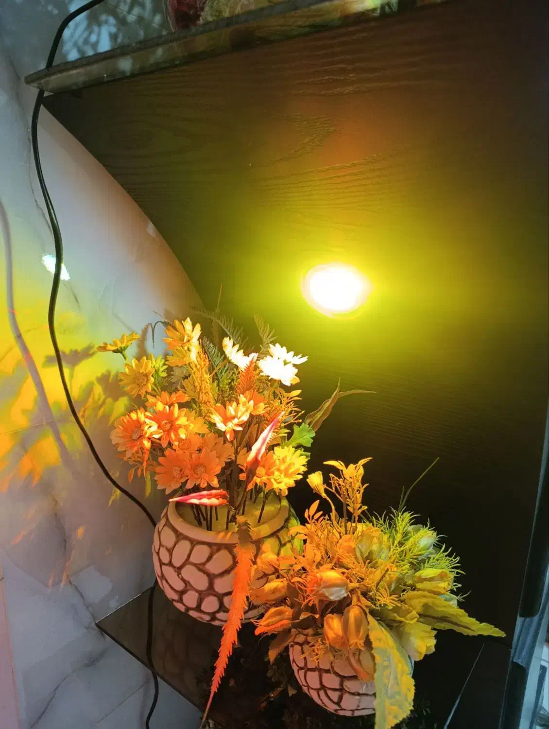 استند گل|گل مصنوعی|کرمانشاه, |دیوار