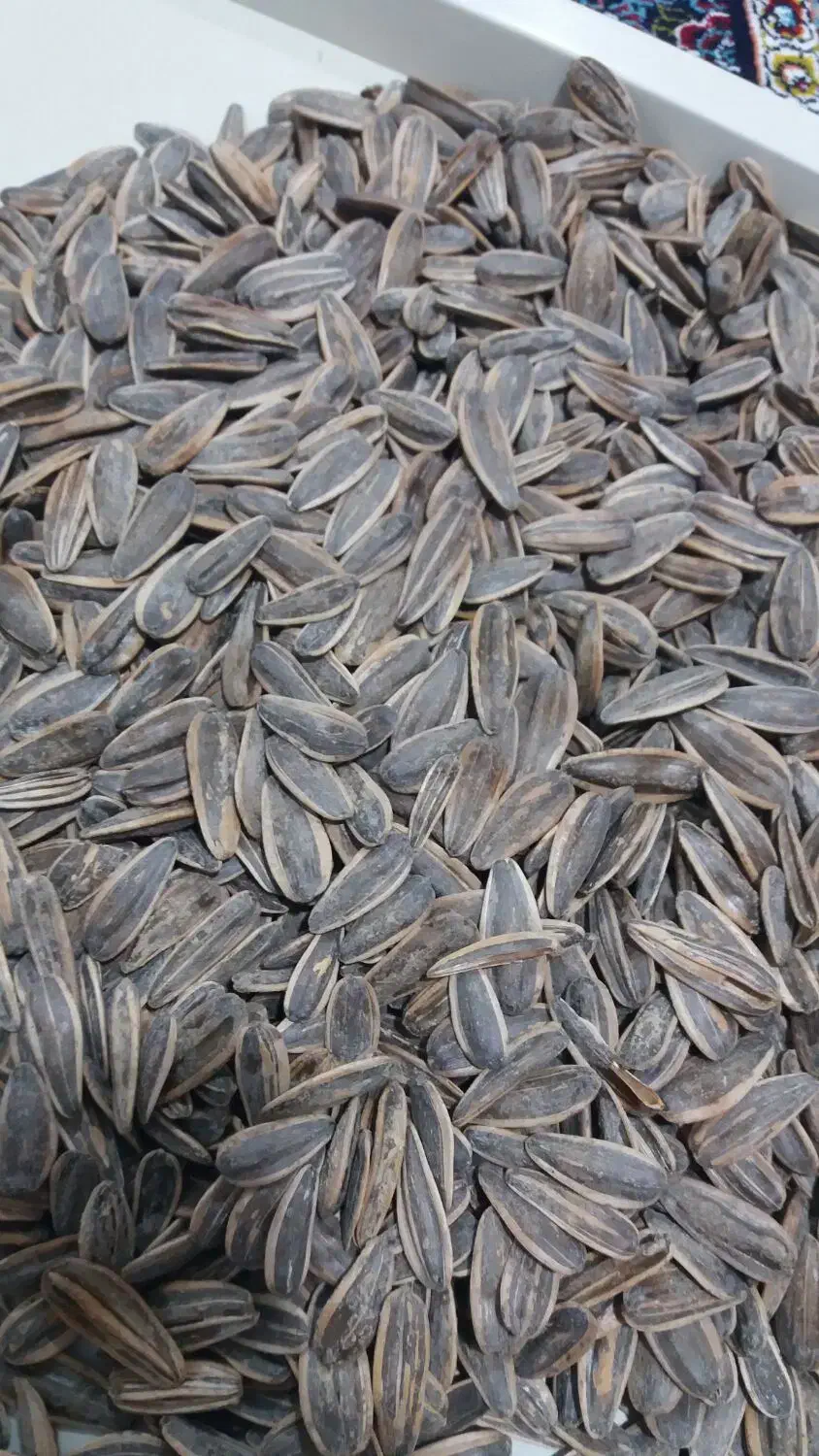 تخمه کانادایی|خوردنی و آشامیدنی|دهگلان, |دیوار