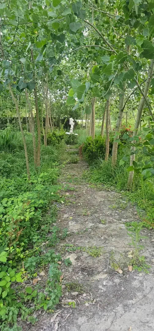 ویلایی عالی وقابل تهاتر|فروش خانه و ویلا|رشت, شهرک احمد خمینی|دیوار