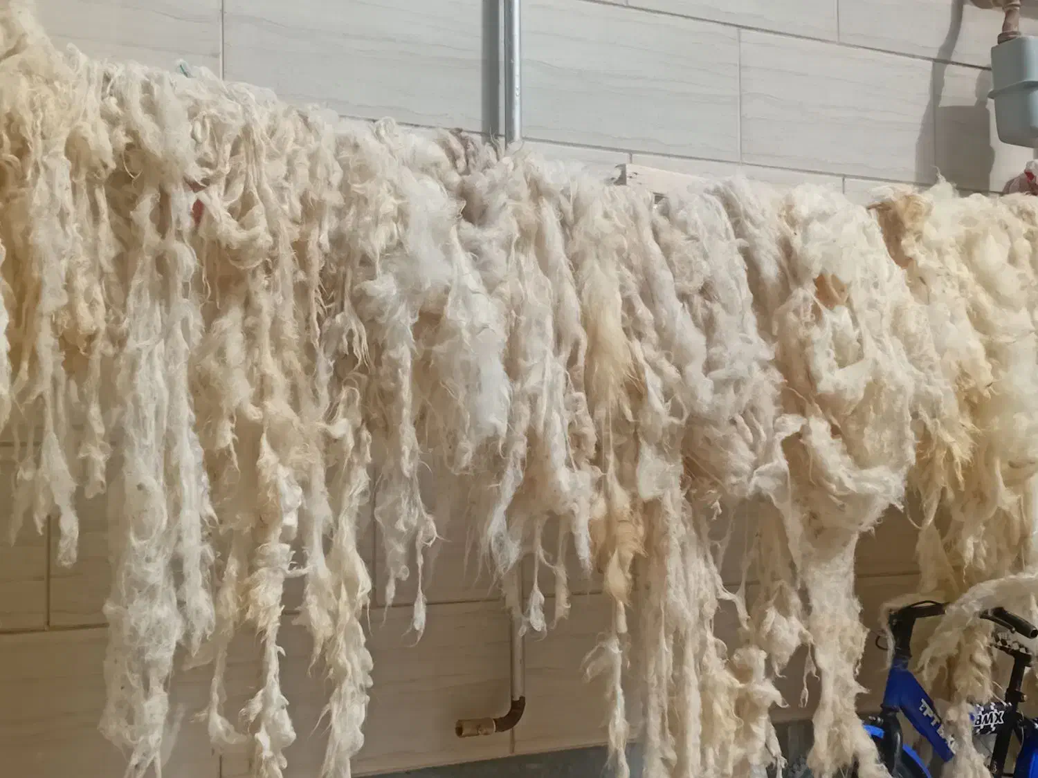 پشم شسته|رختخواب، بالش، پتو|خوی, |دیوار