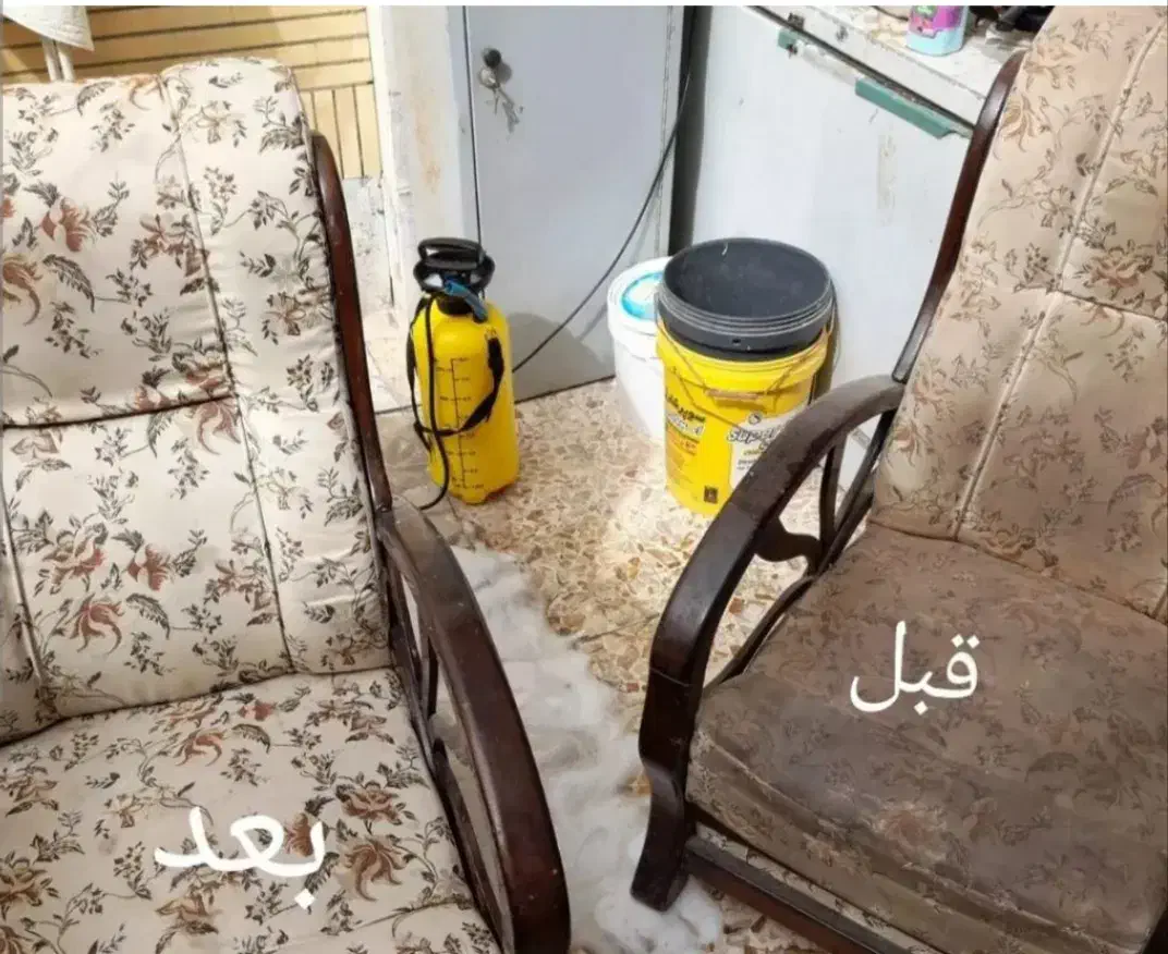 قالیشویی.مبل شویی.موکت شویی.شستشوی خوشخواب|خدمات نظافت|شیراز, حافظیه|دیوار