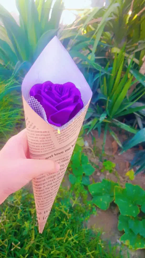 گل برای روز دانش آموز|گل مصنوعی|جاسک, |دیوار