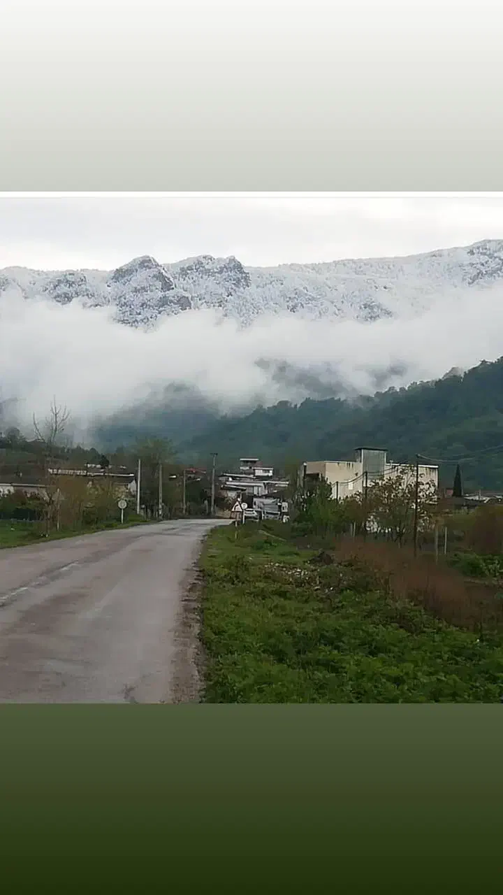 باغ آماده ۵۷۴ متر شموشک بالا(قیمت مناسب)|فروش زمین و ملک کلنگی|گرگان, |دیوار