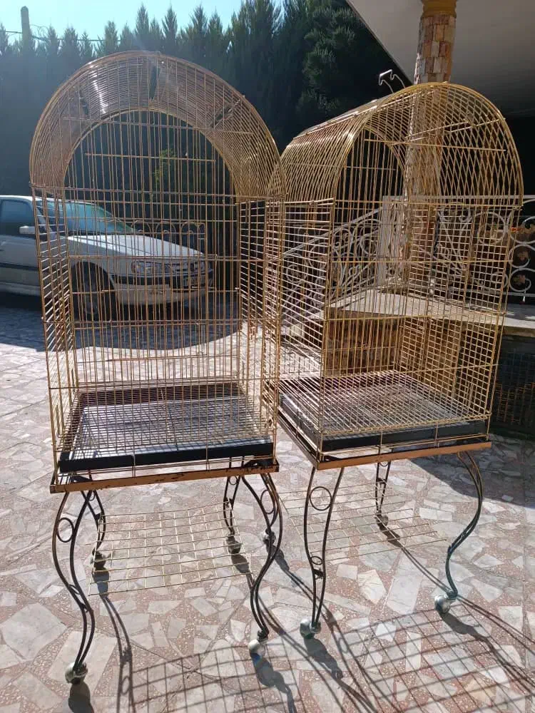 قفس حرفه ای|لوازم جانبی حیوانات|عباس‌آباد, |دیوار