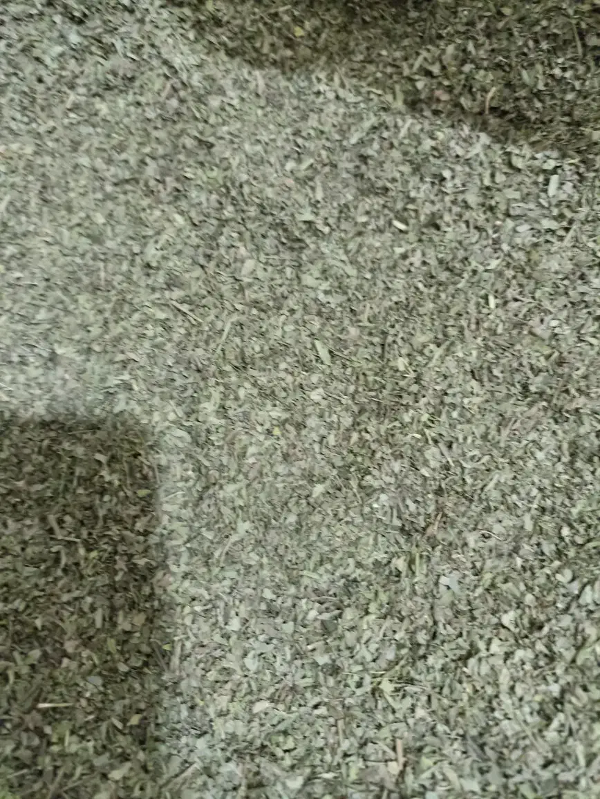 سبزی خشک معطر|خوردنی و آشامیدنی|نیشابور, سرآب کوشک|دیوار