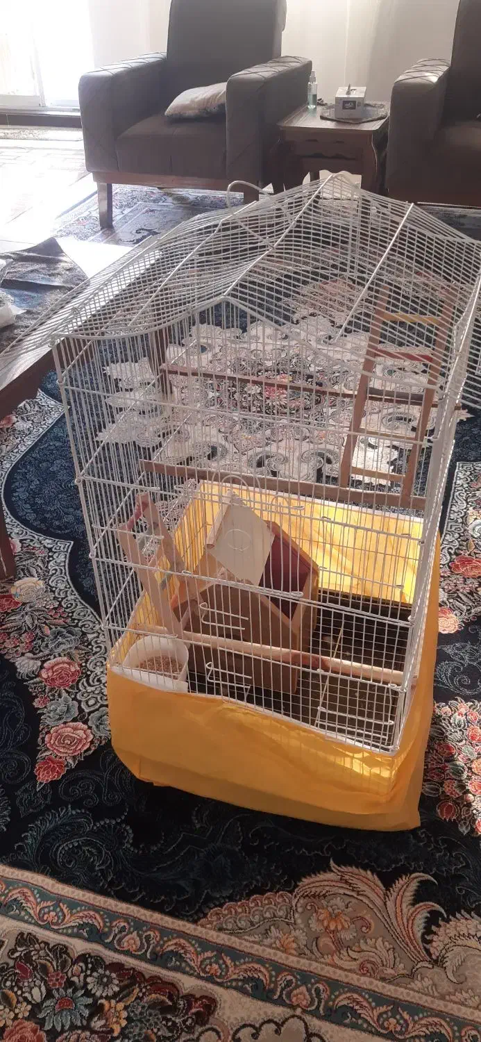 قفس پرنده|لوازم جانبی حیوانات|منجیل, |دیوار