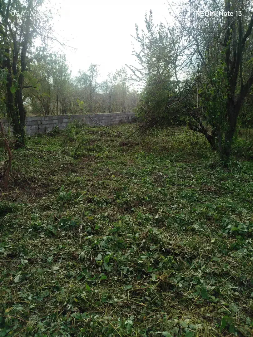 چمن زنی.علفزنی|خدمات باغبانی و درختکاری|رشت, کوی فکوری|دیوار