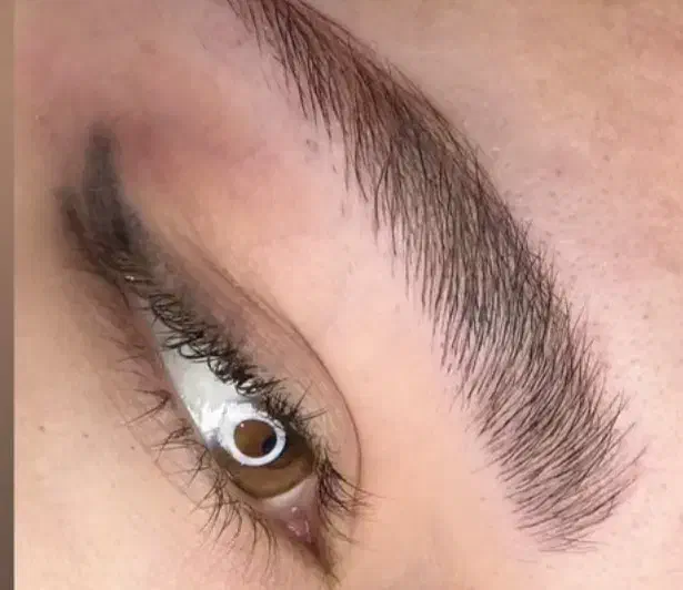 فیبروز ابرو|خدمات آرایشگری و زیبایی|گرگان, |دیوار