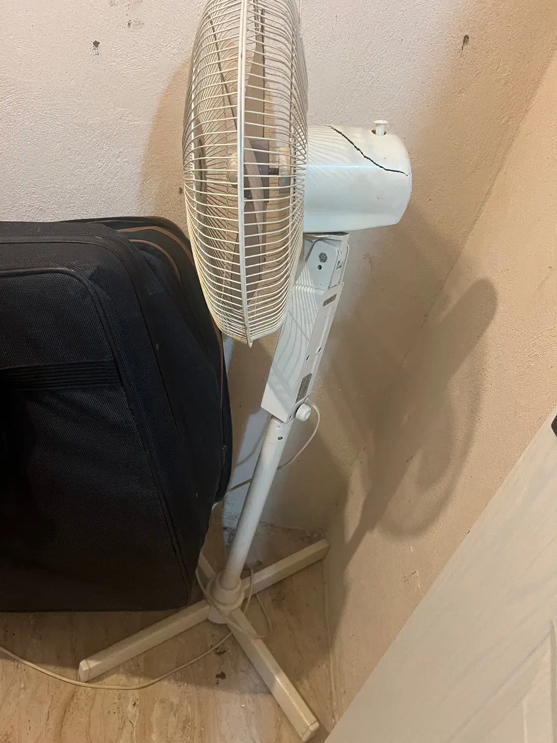 پنکه ایستاده|پنکه و تصفیه‌کنندهٔ هوا|رشت, کاکتوس|دیوار